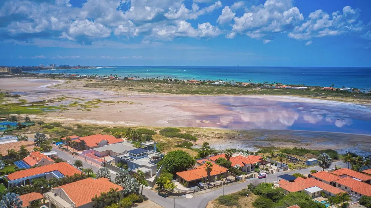 Lama Y Solo Unique Private Room Walking Distance To The Beach Palm Beach 0*,