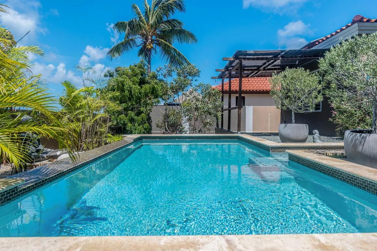 Lama Y Solo Unique Private Room Walking Distance To The Beach Palm Beach Konukevi