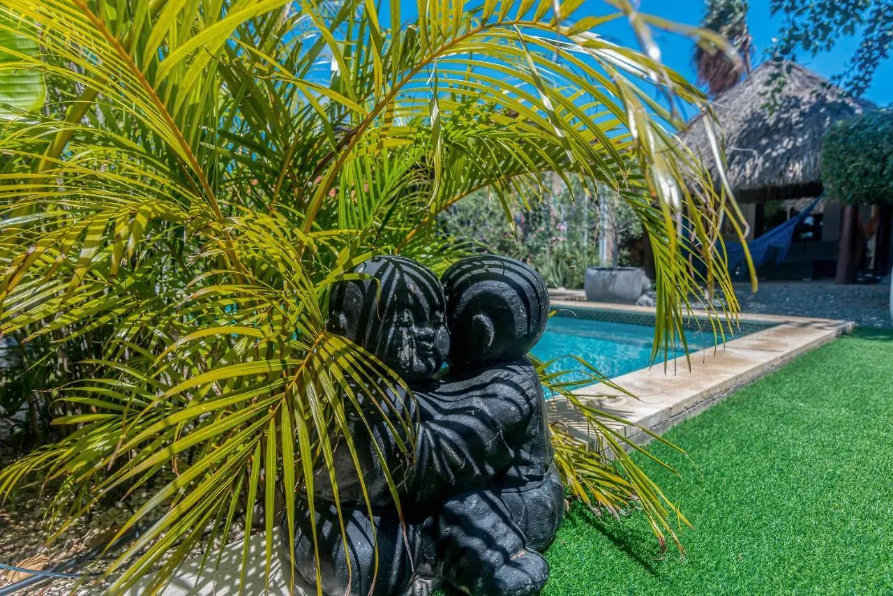 Lama Y Solo Unique Private Room Walking Distance To The Beach Palm Beach