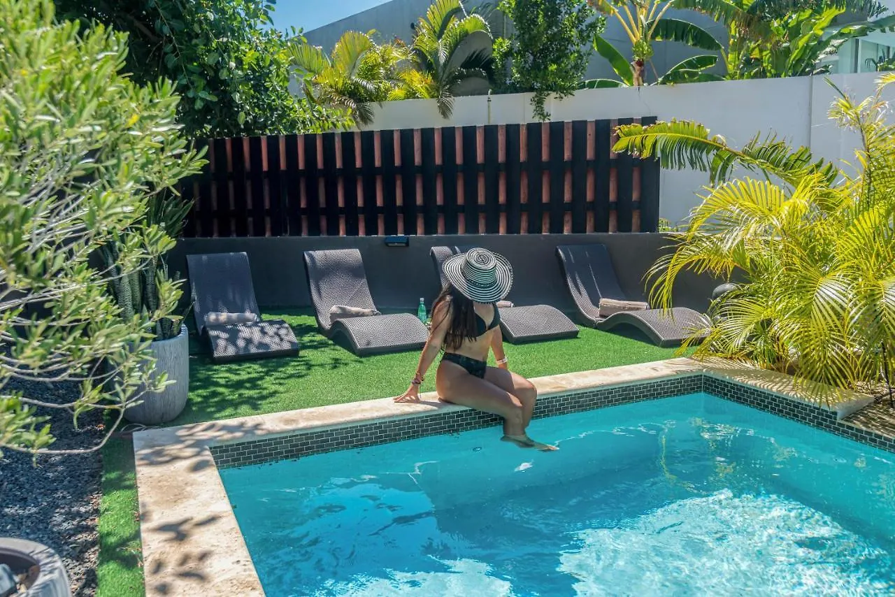 Lama Y Solo Unique Private Room Walking Distance To The Beach Palm Beach Pensión
