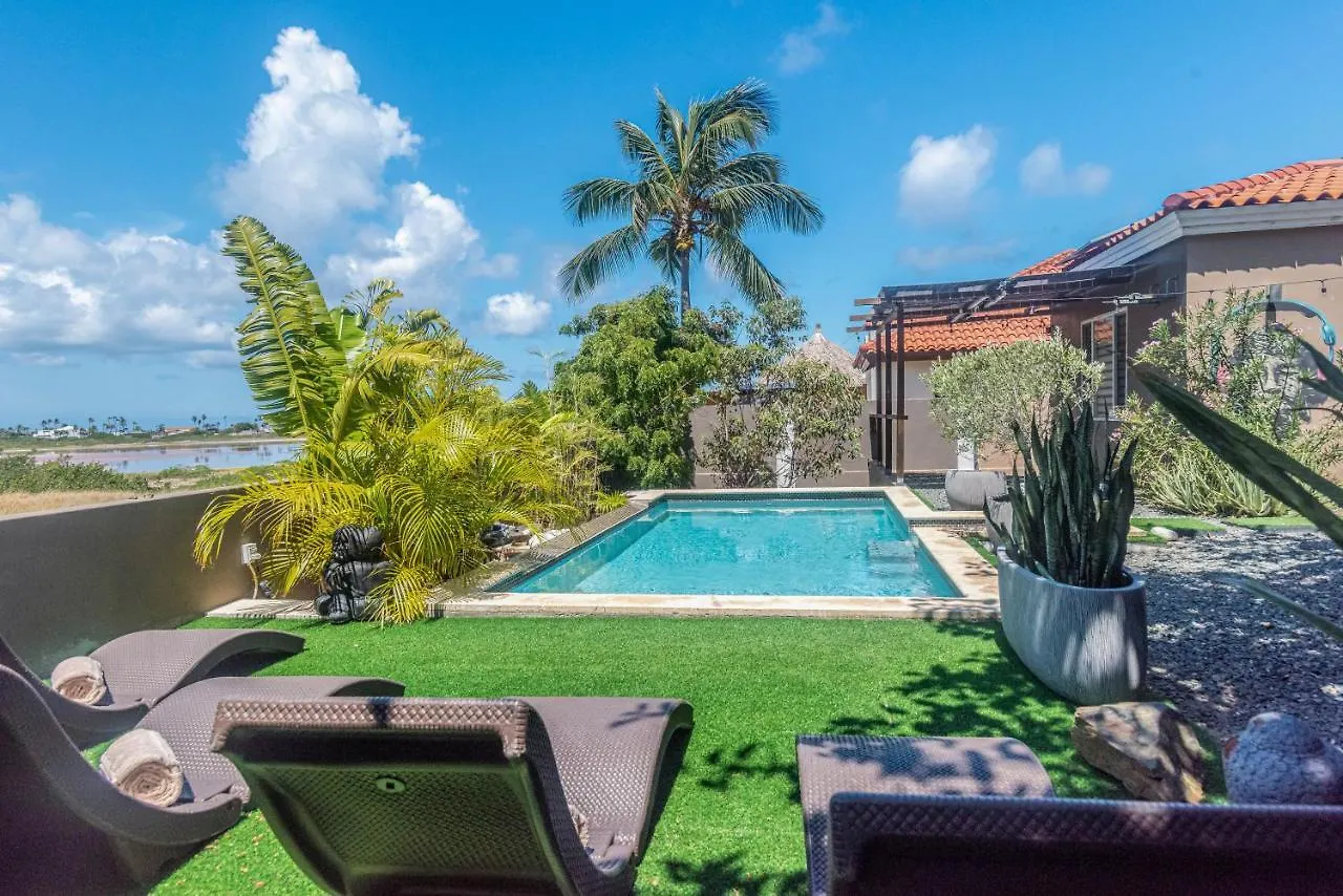 Lama Y Solo Unique Private Room Walking Distance To The Beach Palm Beach Aruba