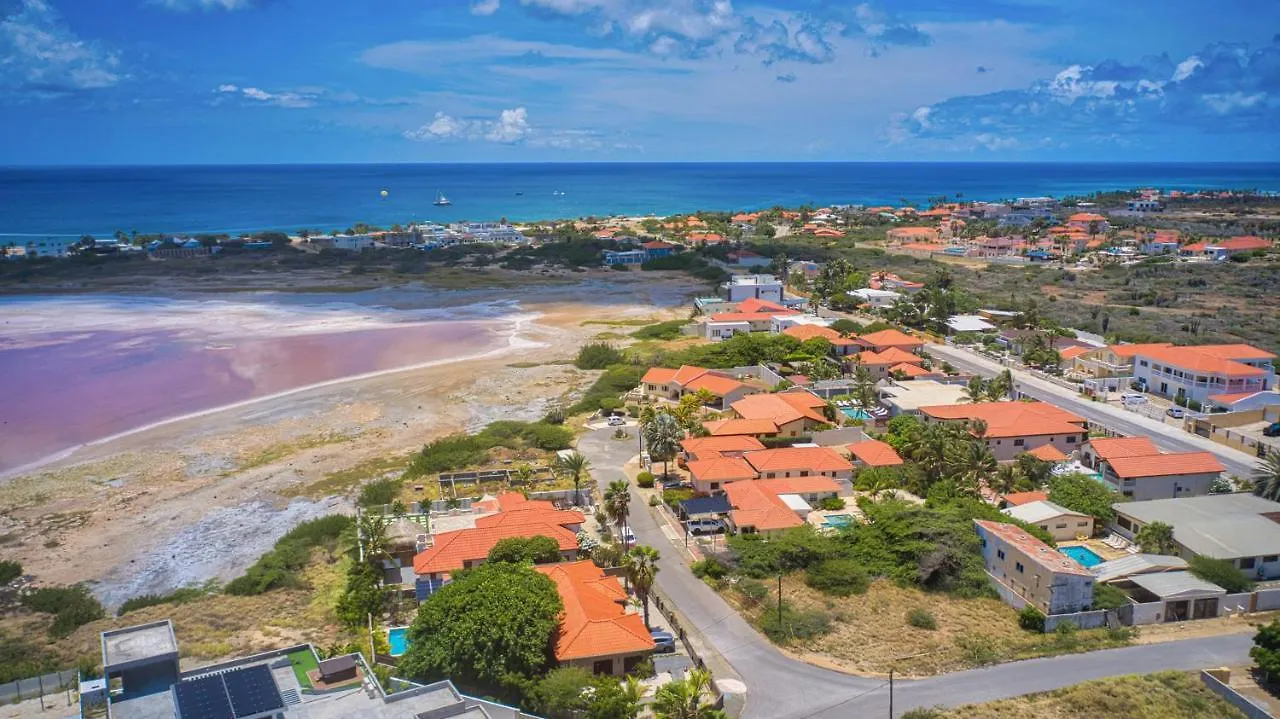 Lama Y Solo Unique Private Room Walking Distance To The Beach Palm Beach
