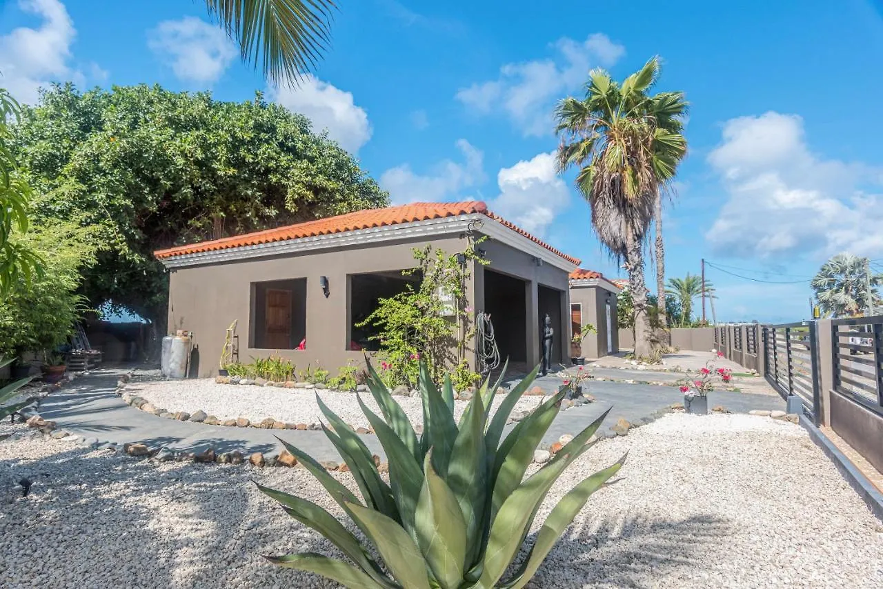 Pensión Lama Y Solo Unique Private Room Walking Distance To The Beach Palm Beach Aruba