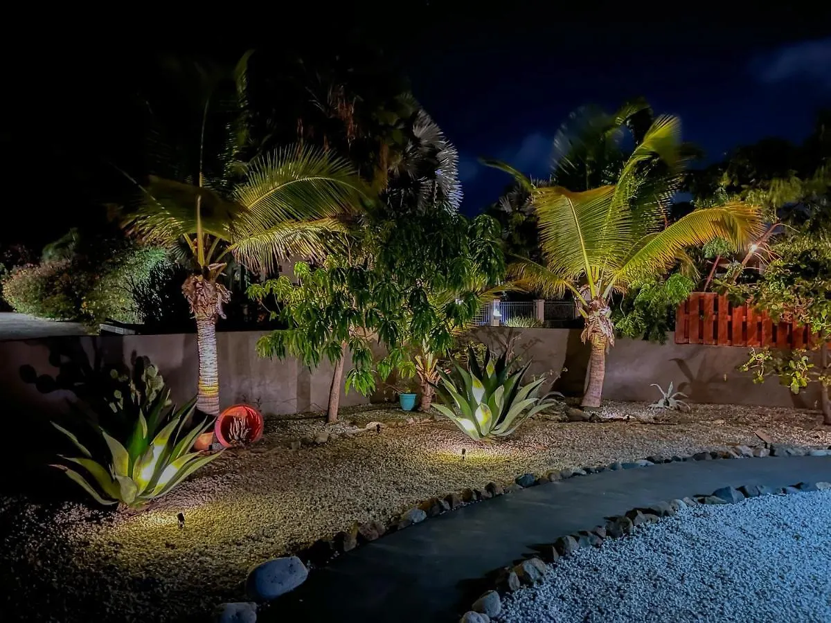 Lama Y Solo Unique Private Room Walking Distance To The Beach Palm Beach