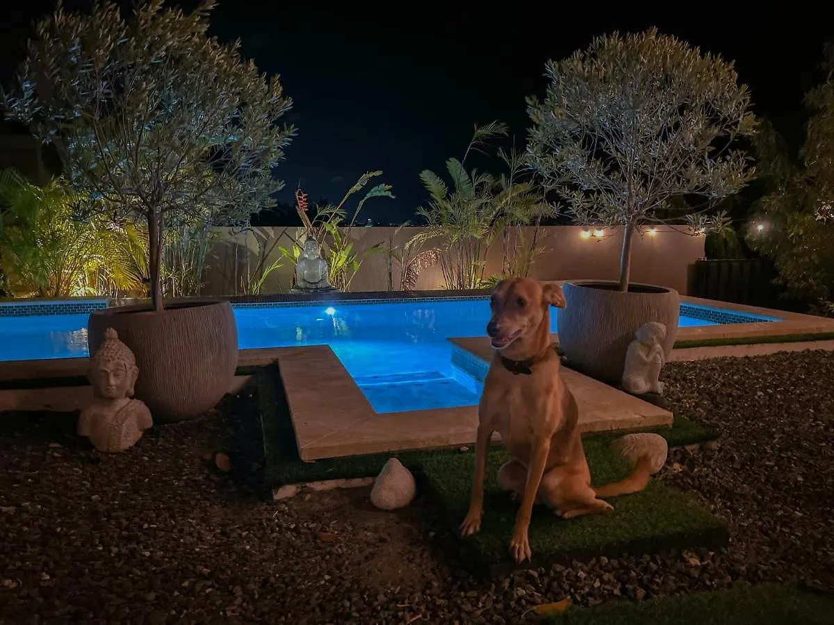 Lama Y Solo Unique Private Room Walking Distance To The Beach Palm Beach